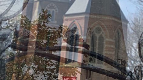 St Mary Magdalene's Church free lunchtime tours