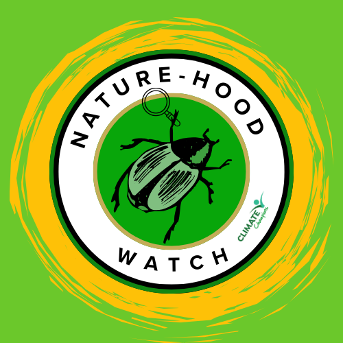 Nature Hood Watch Logo